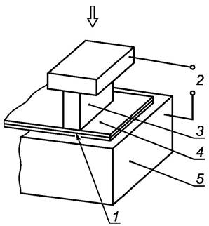 x037.jpg